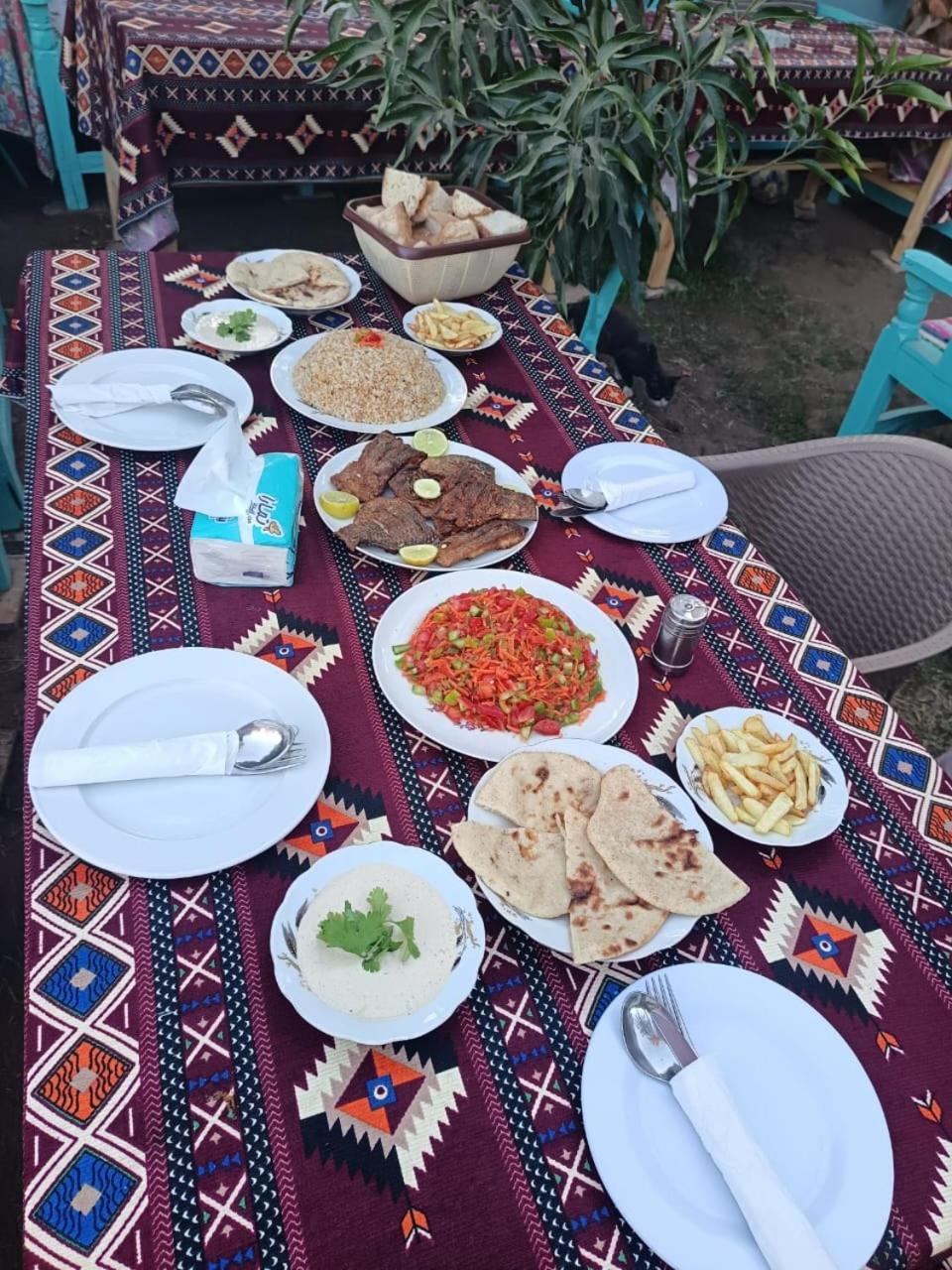 Villa Giulio Luxor Guest House Εξωτερικό φωτογραφία